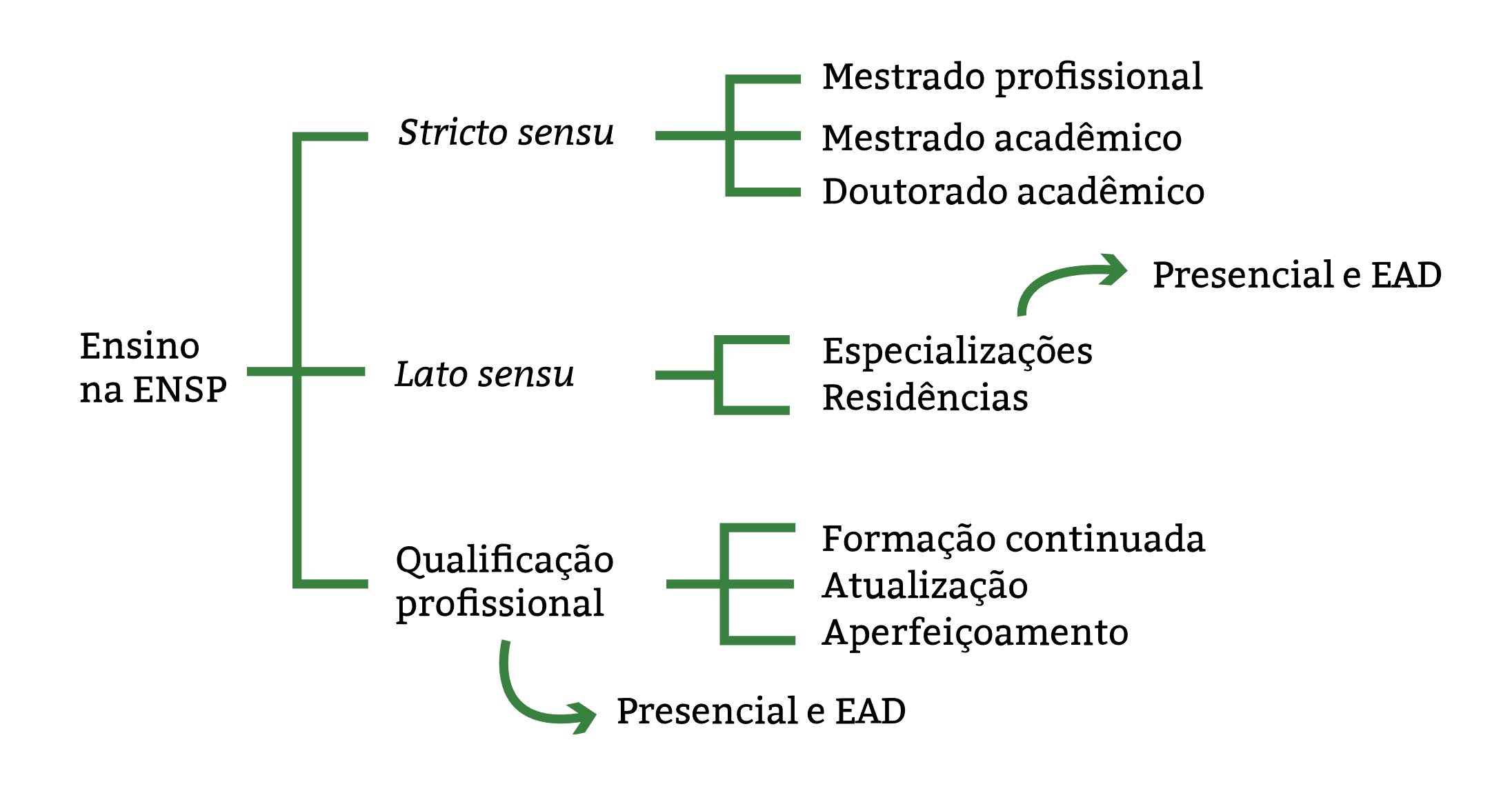 Cursos Stricto Sensu, Lato Sensu e Qualificação Profissional